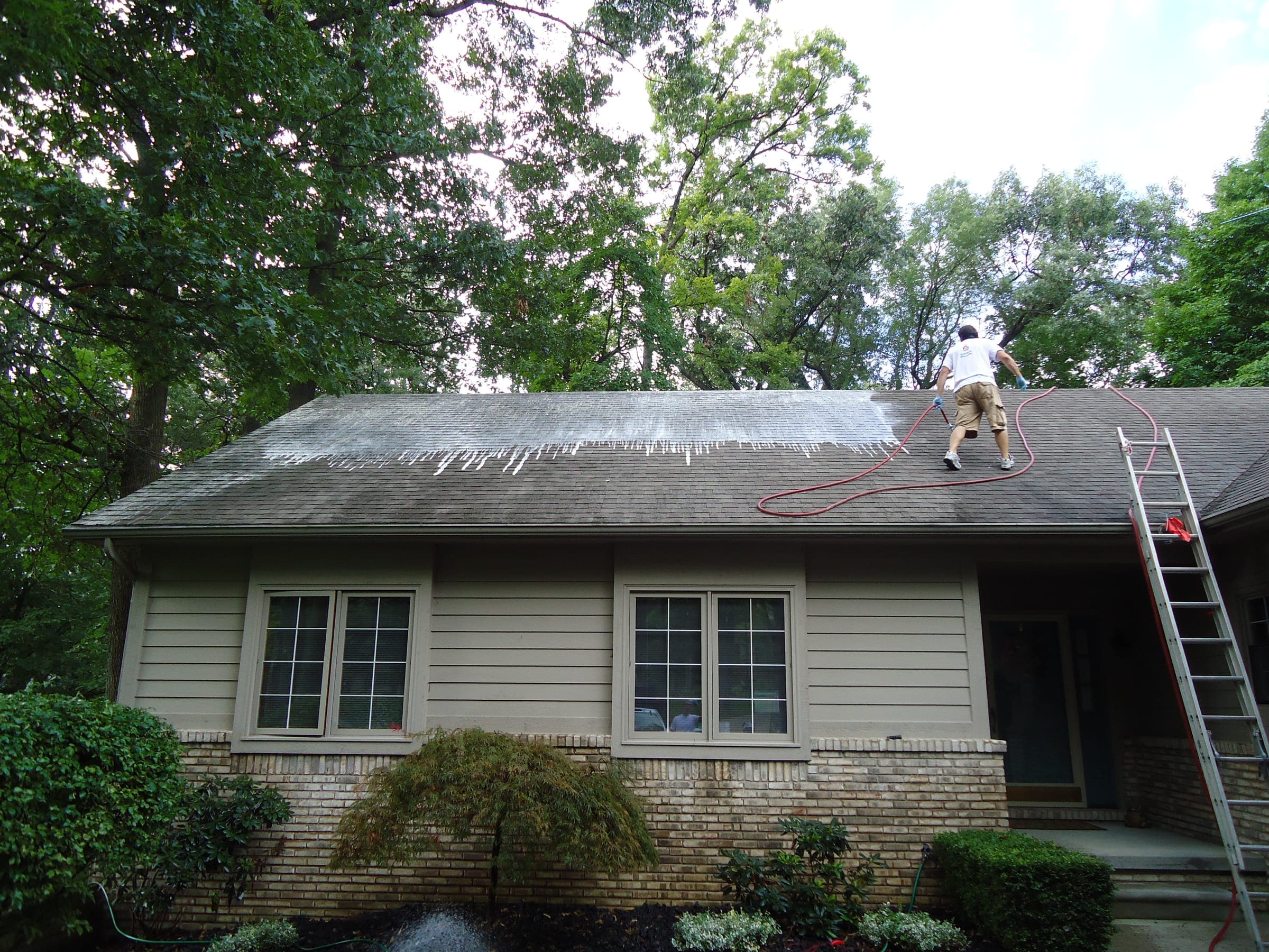 A worker cleaning the roof of a one-storey house, with a ladder against the gutter